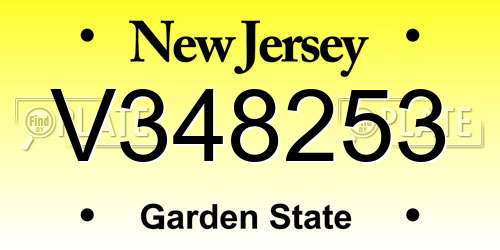 V348253 New Jersey License Plate