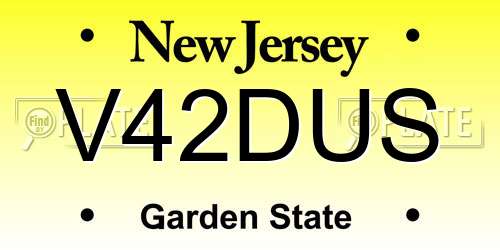 V42DUS New Jersey License Plate