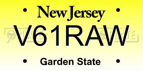 V61RAW New Jersey License Plate