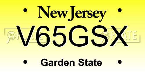 V65GSX New Jersey License Plate