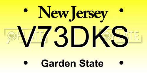 V73DKS New Jersey License Plate