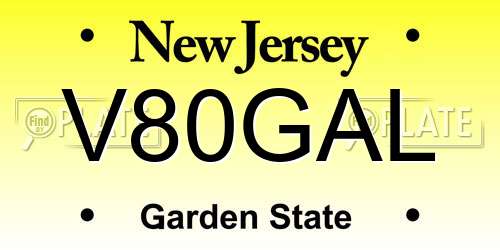 V80GAL New Jersey License Plate