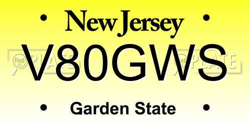 V80GWS New Jersey License Plate