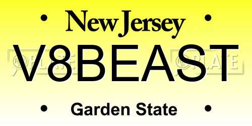 V8BEAST New Jersey License Plate