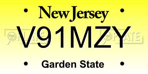 V91MZY New Jersey License Plate