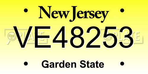 VE48253 New Jersey License Plate