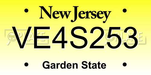 VE4S253 New Jersey License Plate