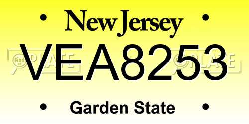 VEA8253 New Jersey License Plate