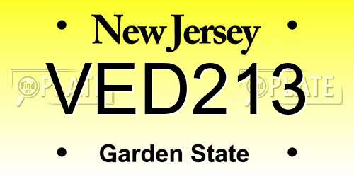 VED213 New Jersey License Plate