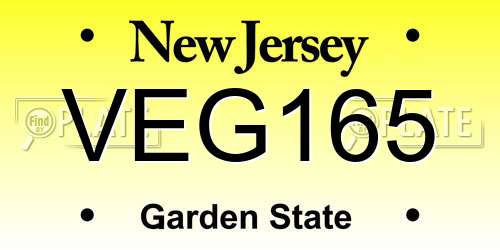 VEG165 New Jersey License Plate