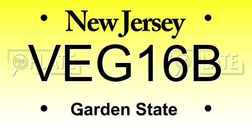 VEG16B New Jersey License Plate