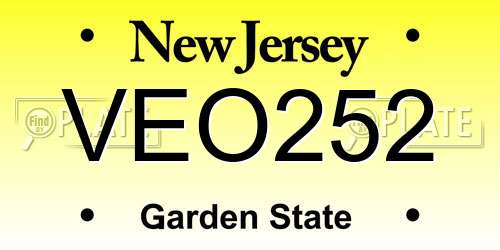 VEO252 New Jersey License Plate