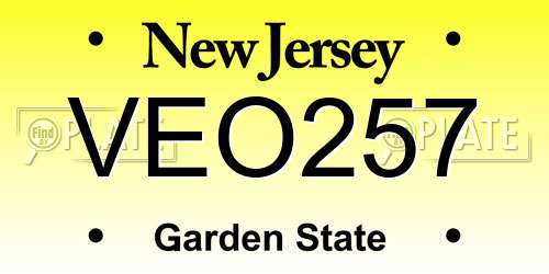 VEO257 New Jersey License Plate
