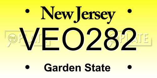 VEO282 New Jersey License Plate