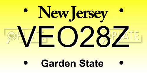 VEO28Z New Jersey License Plate