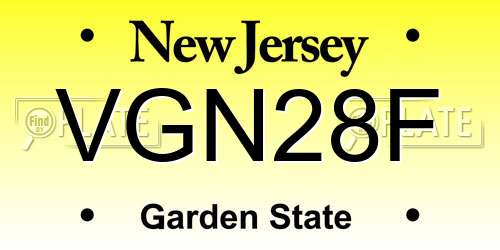 VGN28F New Jersey License Plate
