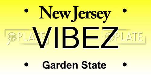 VIBEZ New Jersey License Plate