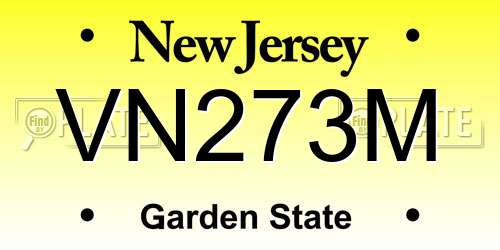VN273M New Jersey License Plate