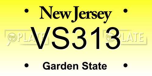 VS313 New Jersey License Plate