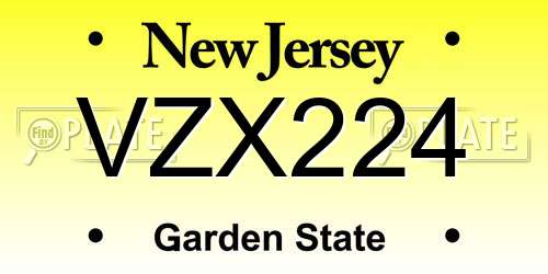 VZX224 New Jersey License Plate