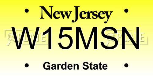 W15MSN New Jersey License Plate