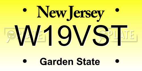 W19VST New Jersey License Plate