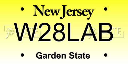 W28LAB New Jersey License Plate