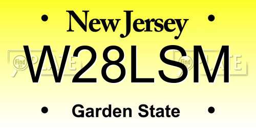 W28LSM New Jersey License Plate