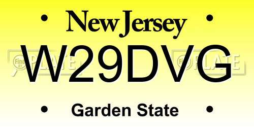 W29DVG New Jersey License Plate