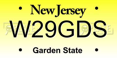 W29GDS New Jersey License Plate