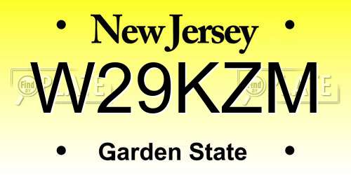 W29KZM New Jersey License Plate