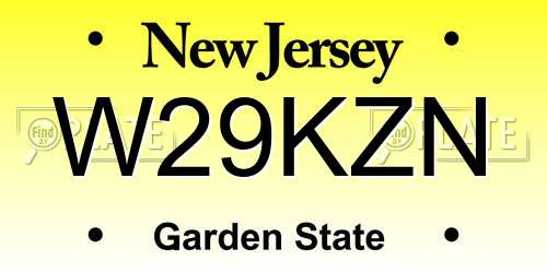 W29KZN New Jersey License Plate