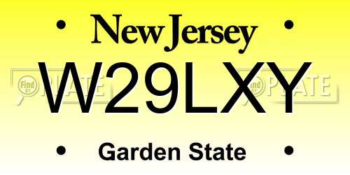 W29LXY New Jersey License Plate