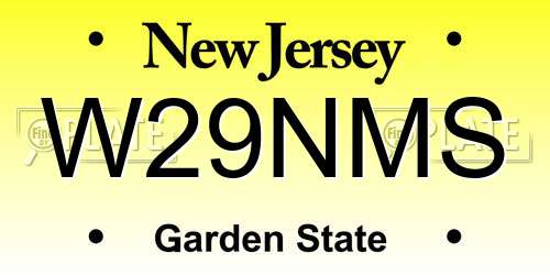 W29NMS New Jersey License Plate