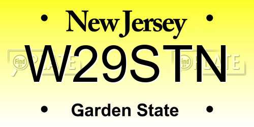 W29STN New Jersey License Plate