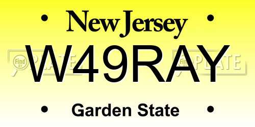 W49RAY New Jersey License Plate