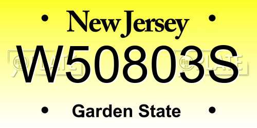 W50803S New Jersey License Plate