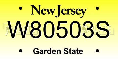 W80503S New Jersey License Plate