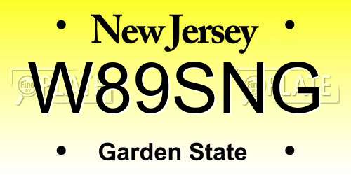 W89SNG New Jersey License Plate