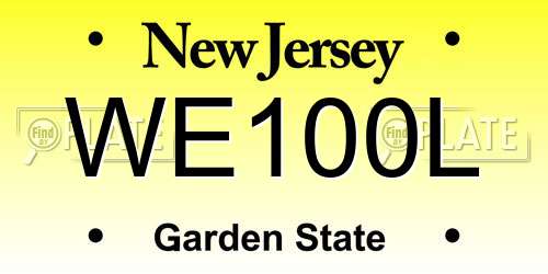WE100L New Jersey License Plate