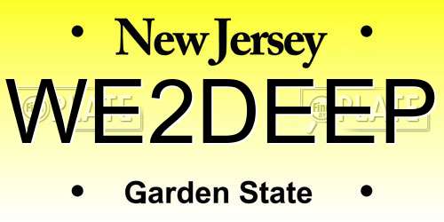 WE2DEEP New Jersey License Plate