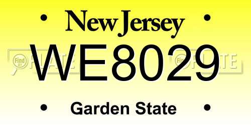 WE8029 New Jersey License Plate
