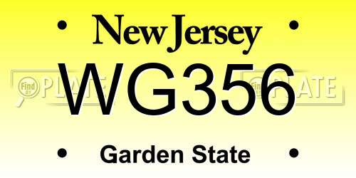 WG356 New Jersey License Plate