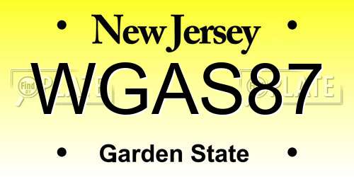 WGAS87 New Jersey License Plate