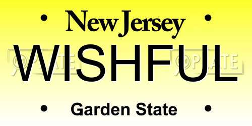 WISHFUL New Jersey License Plate