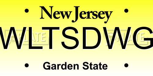 WLTSDWG New Jersey License Plate