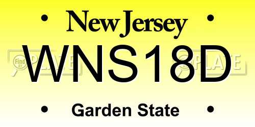 WNS18D New Jersey License Plate
