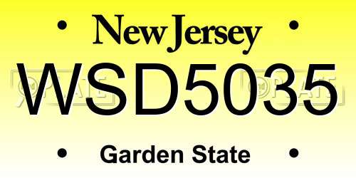 WSD5035 New Jersey License Plate