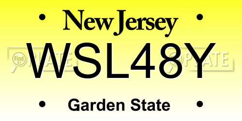 WSL48Y New Jersey License Plate