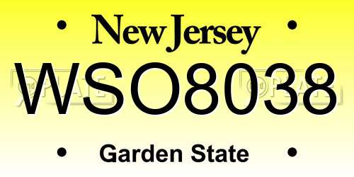 WSO8038 New Jersey License Plate